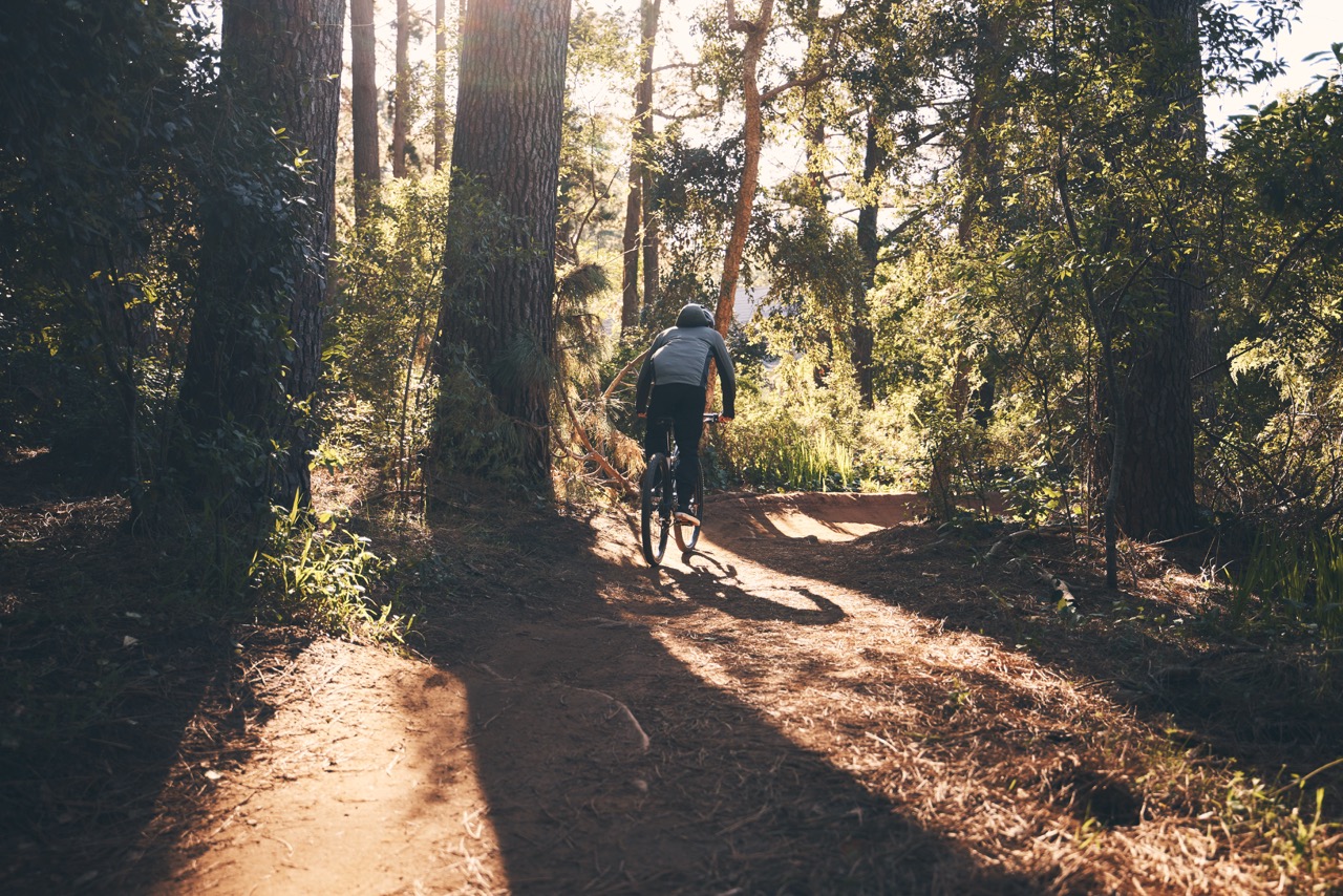 Fants Grove Trails: Hiking, Biking & Horseback Riding Near Clemson